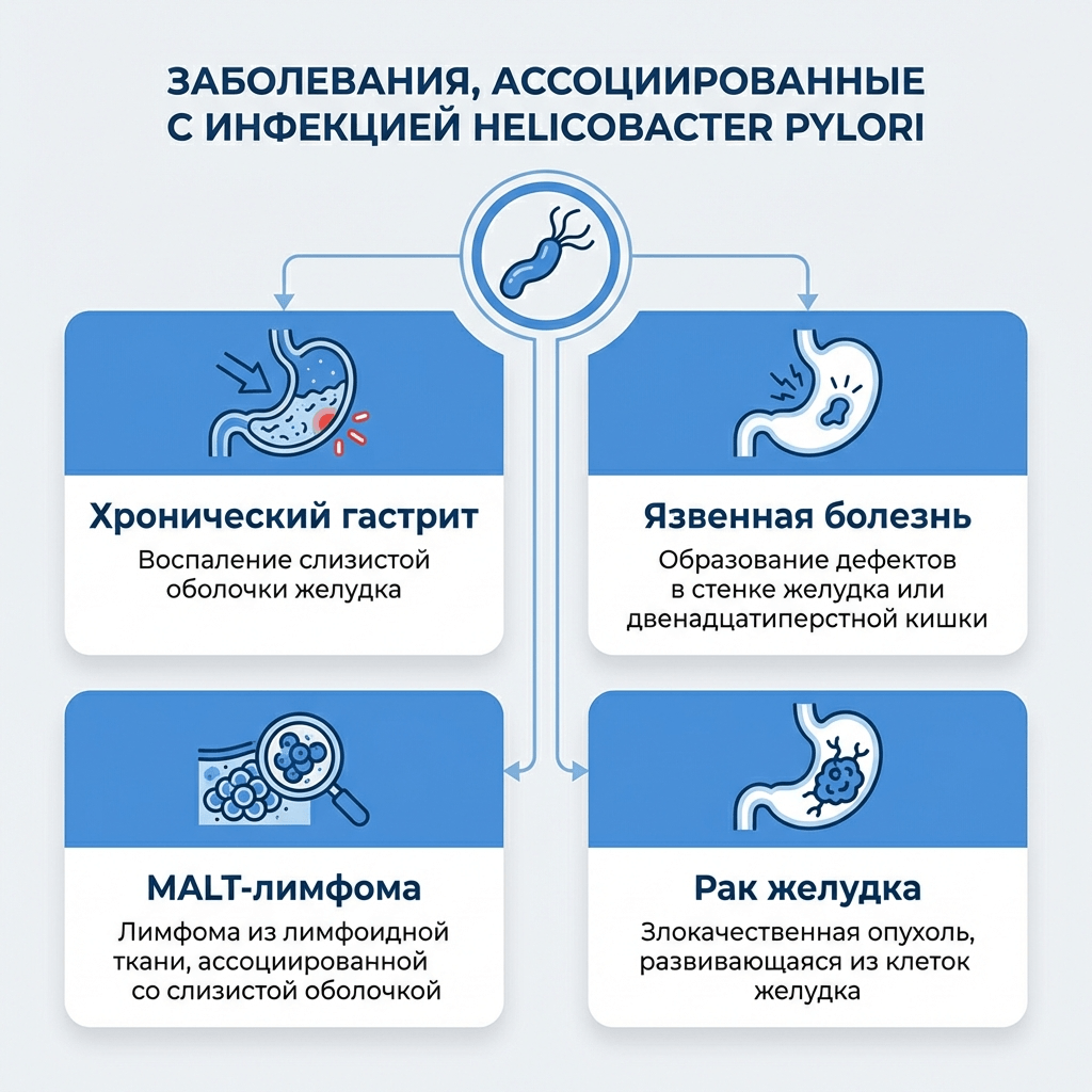 Заболевания, связанные с хеликобактер пилори