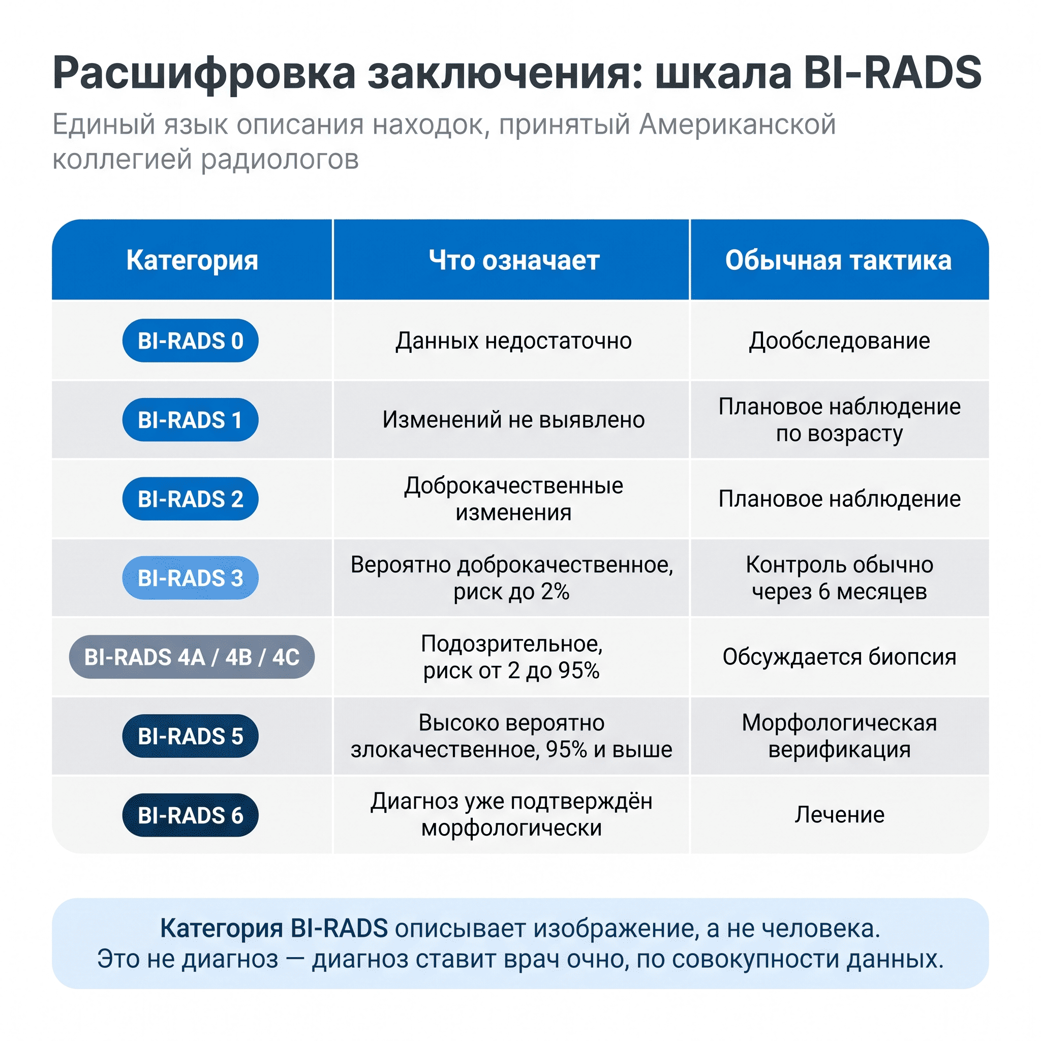 Расшифровка заключения УЗИ: классификация BI-RADS